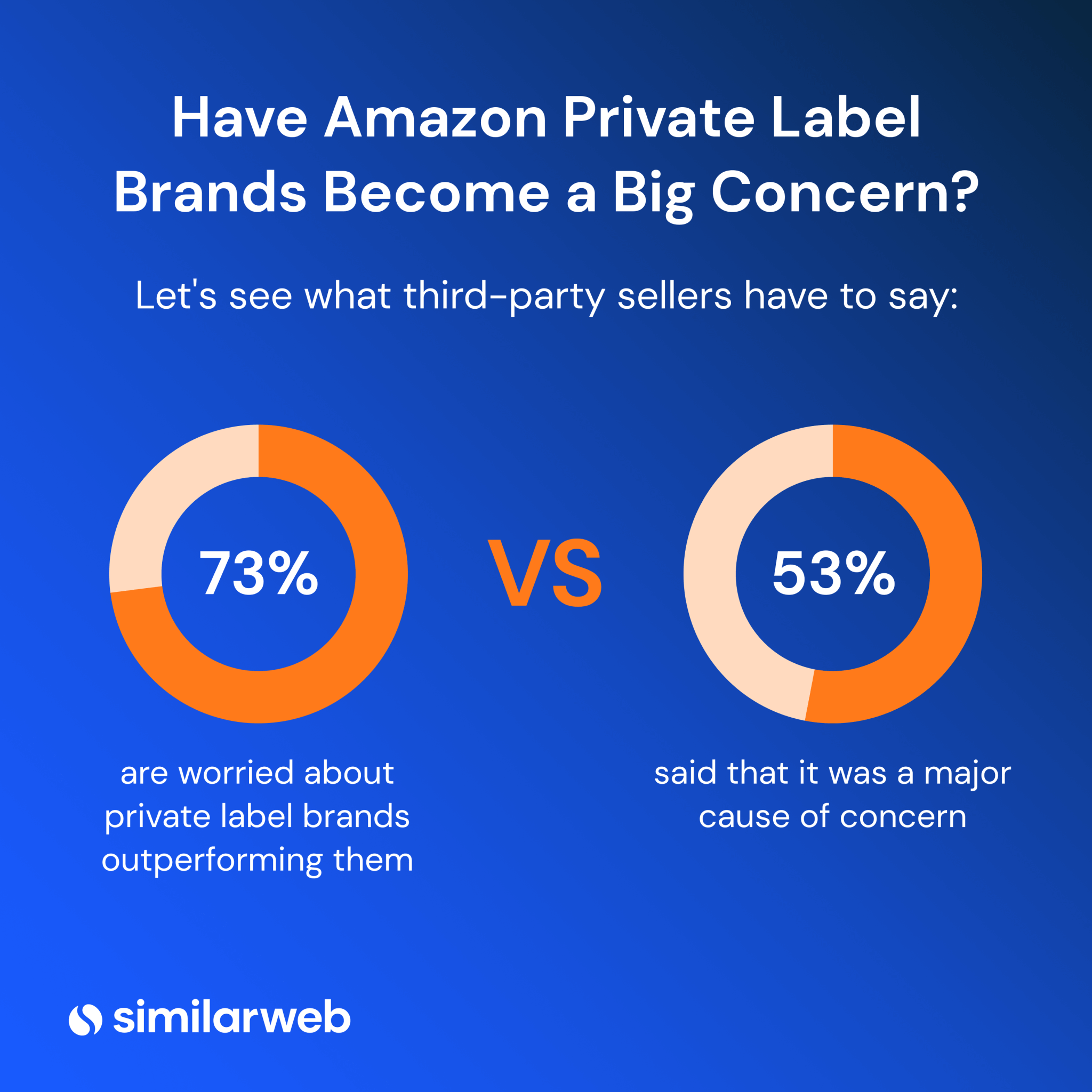 Amazon Private Label Brands A Complete Guide Similarweb