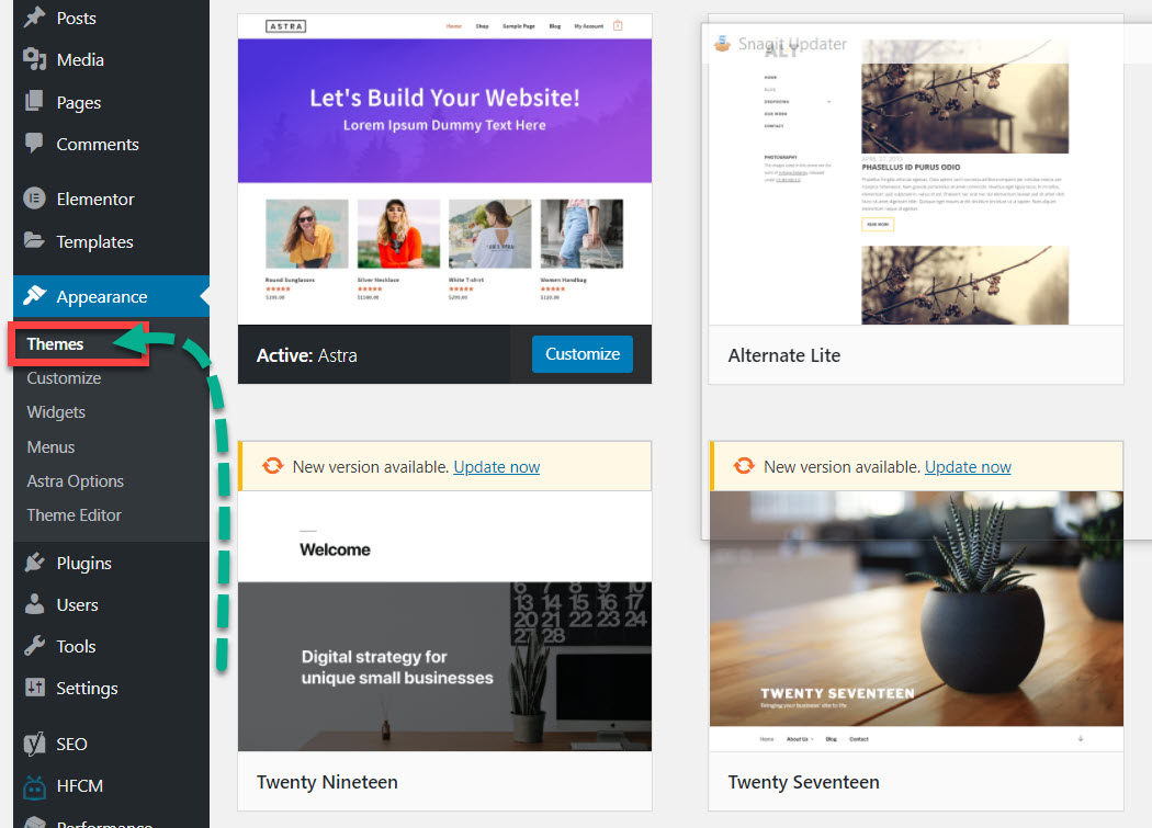 choosing WordPress themes