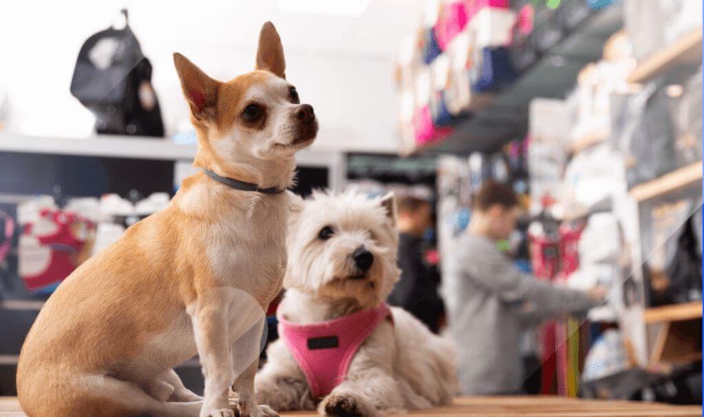 Fastest growing pet supply brands