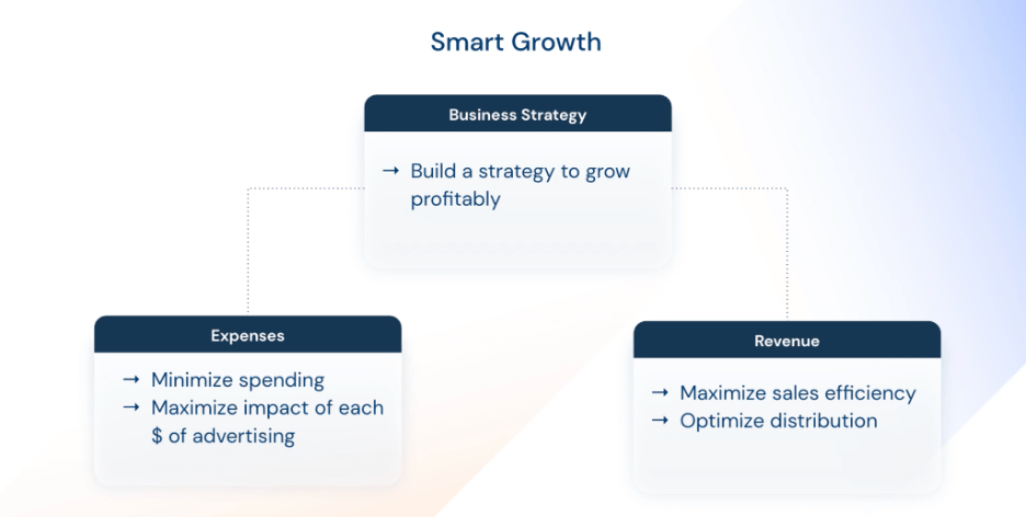 The three pillars of smart growth: Business strategy, Expenses and Revenue