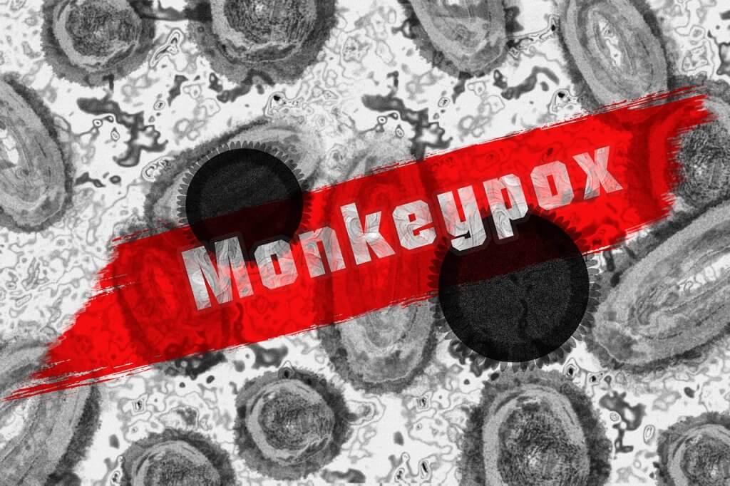 Surge in interest on monkeypox
