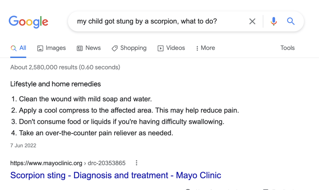 Example of long answer on Google SERP
